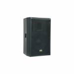 Powerful 15" Wooden AES 900 W Passive Speaker for Clear Sound