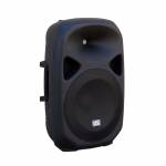 Powerful 10" 240 W AES Passive Speaker for Clear Sound