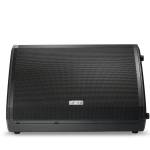 500 W 12" Passive Studio Monitor - Unmatched Sound Clarity