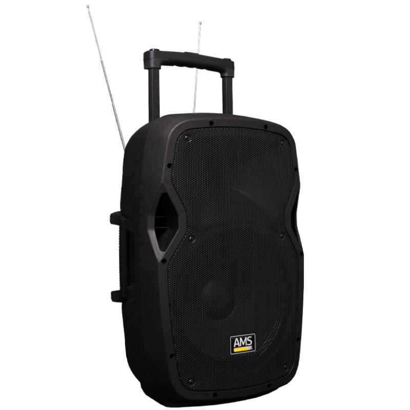 Audio Music Systems Wireless Portable PA Speaker with Dual Mics & Bluetooth Playback, product image from Cggeorgallis