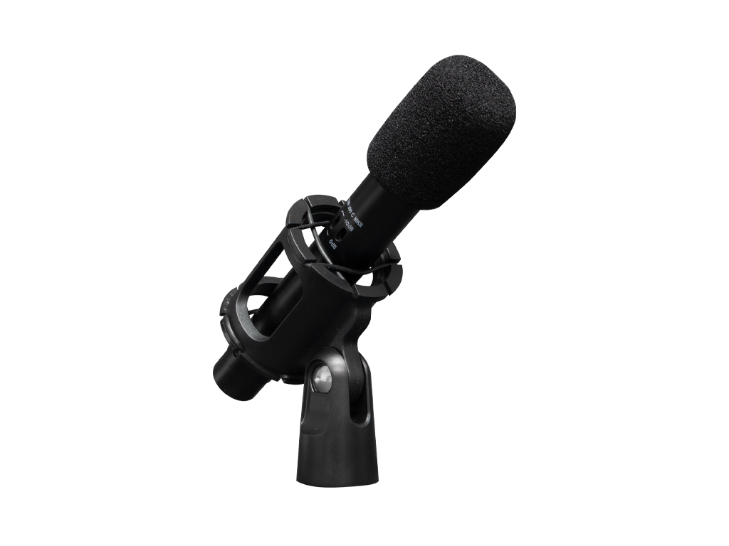 Equipson Clear Voice Cardioid Condenser Mic with HPF & Pad Included, product image from Cggeorgallis