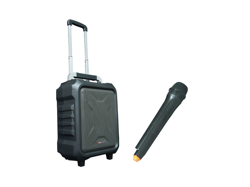 Equipson All-in-One 30 W Bluetooth Speaker with FM Radio & USB Support, product image from Cggeorgallis