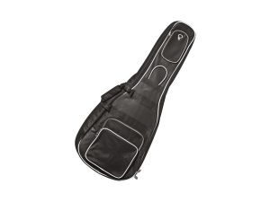 Bass Guitars Bags