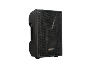 300 W Passive Two-Way Loudspeaker with 12" Woofer & Driver