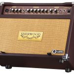 Tiltback Cabinet Acoustic Amp 2 x6.5" Speakers for Rich Guitar Tone