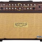 Warm Clarity Acoustic Guitar Amp with Tiltback Design 60 W