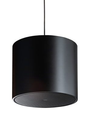 8" Pendant Subwoofer with Warm, Natural Sound for Clear Audio Coverage