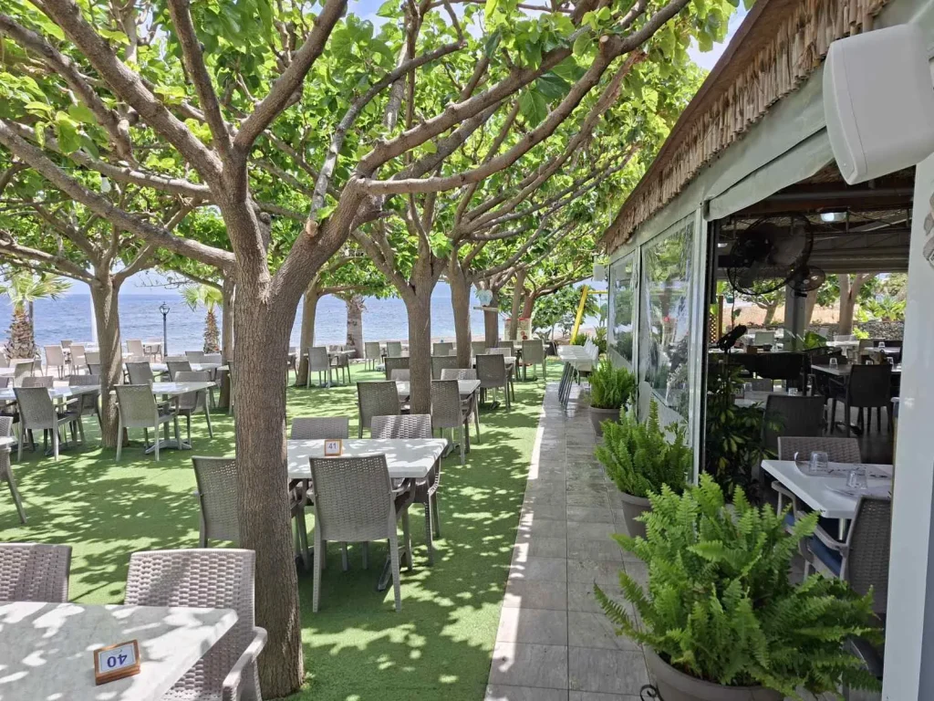 Garden seating at S.K. Yiallos Beach Kebab with background music speakers